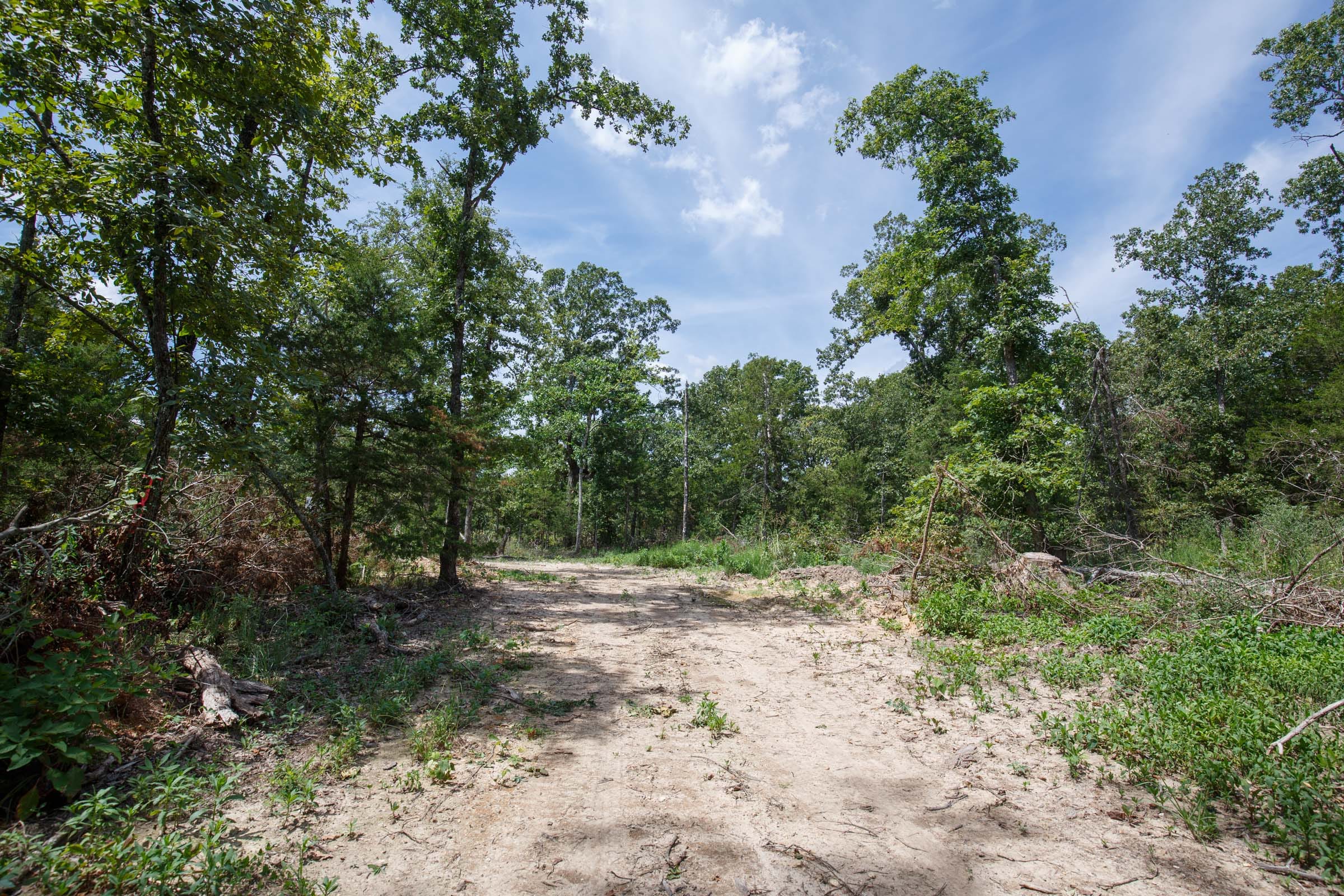 Wildwood Tract 3 photo 9