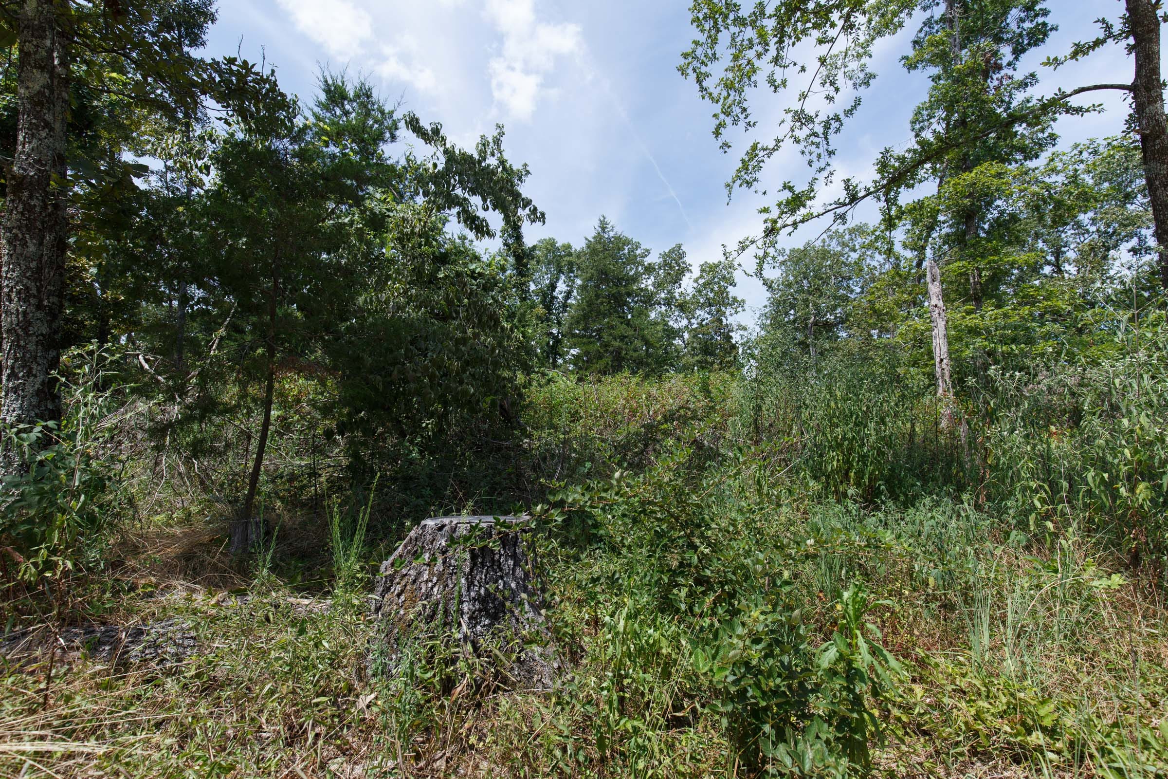 Wildwood Tract 3 photo 6