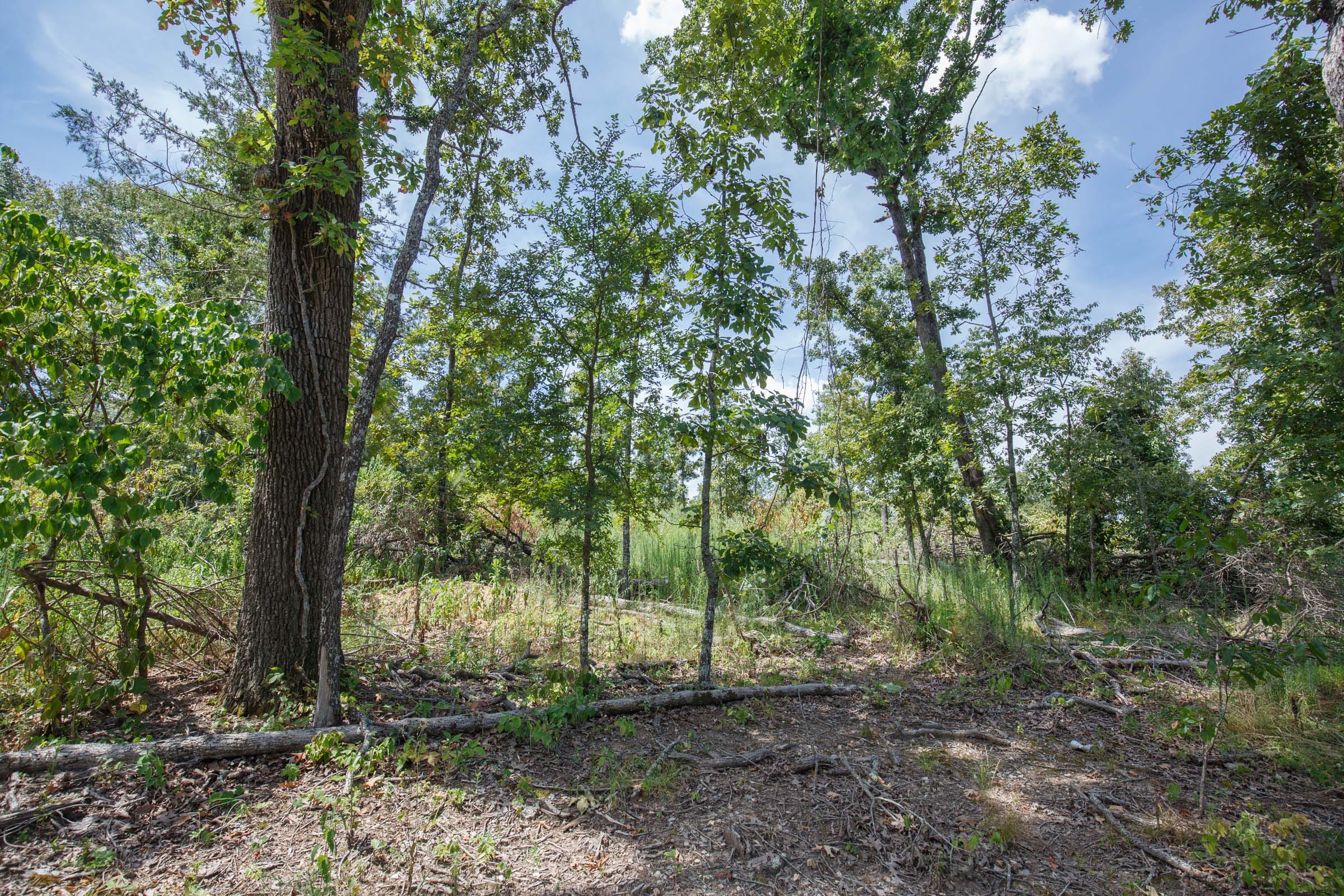 Wildwood Tract 3 photo 11