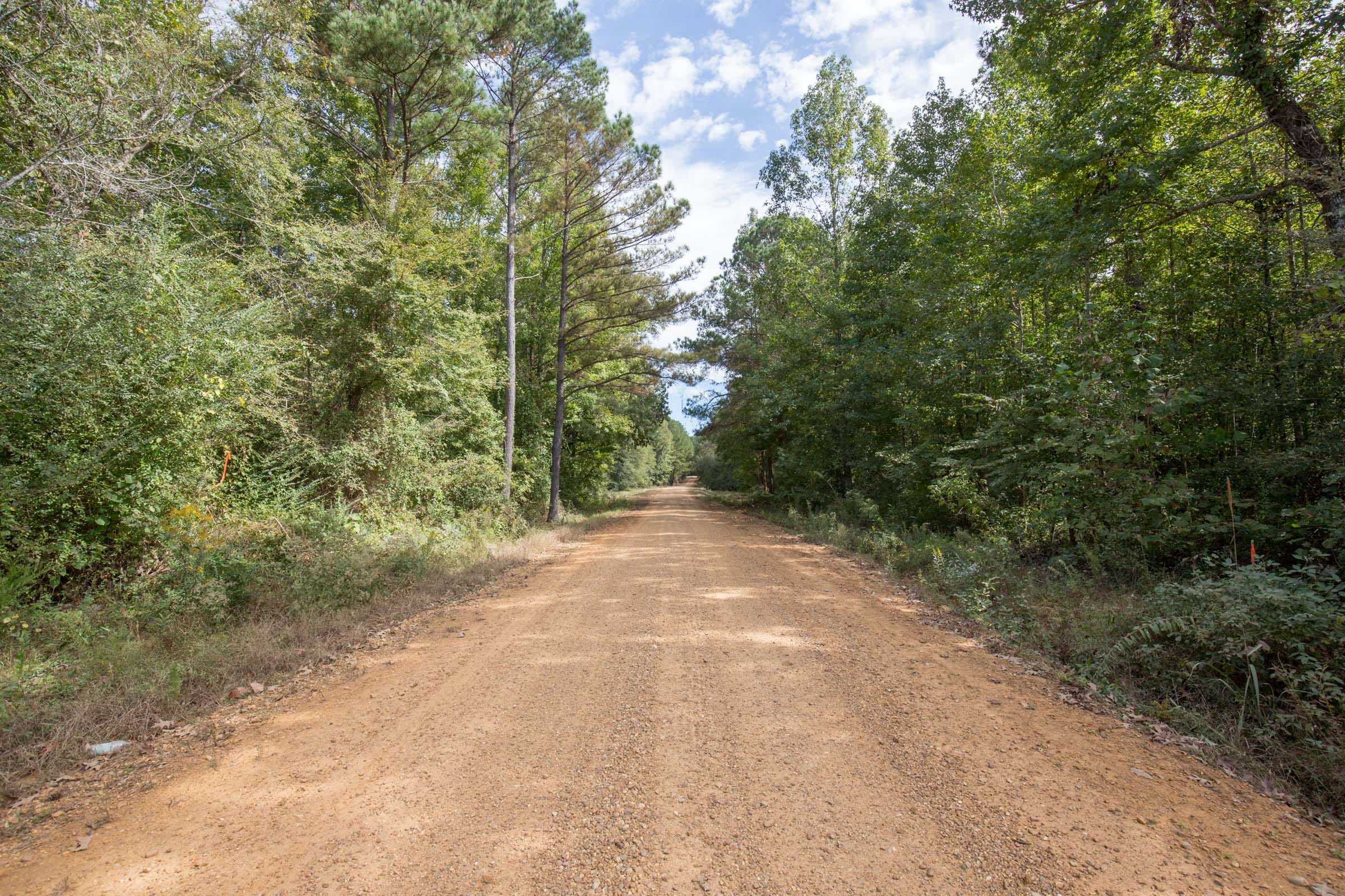 Brentwood Tract 1 photo 5