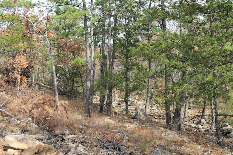 Indian Ridge – Phase I Tract 9 photo 2