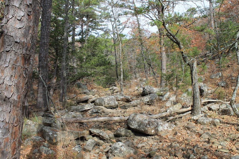 Indian Ridge – Phase I Tract 9 photo 3