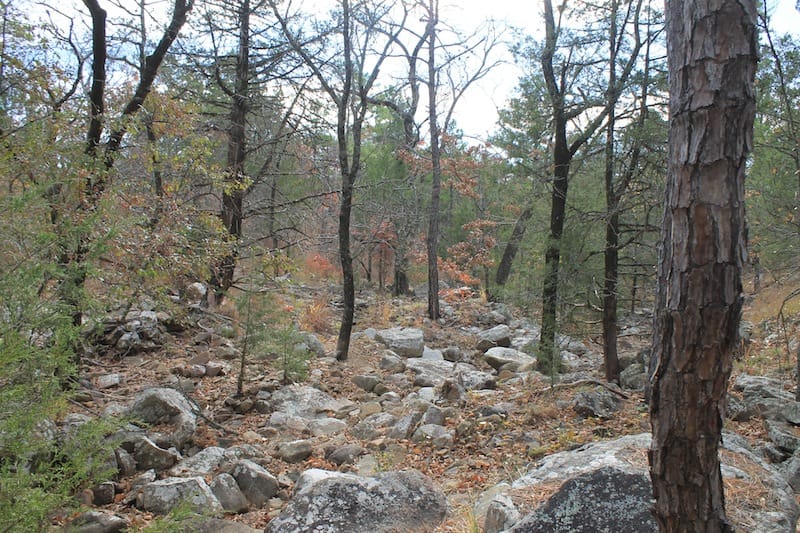 Indian Ridge – Phase I Tract 9 photo 4