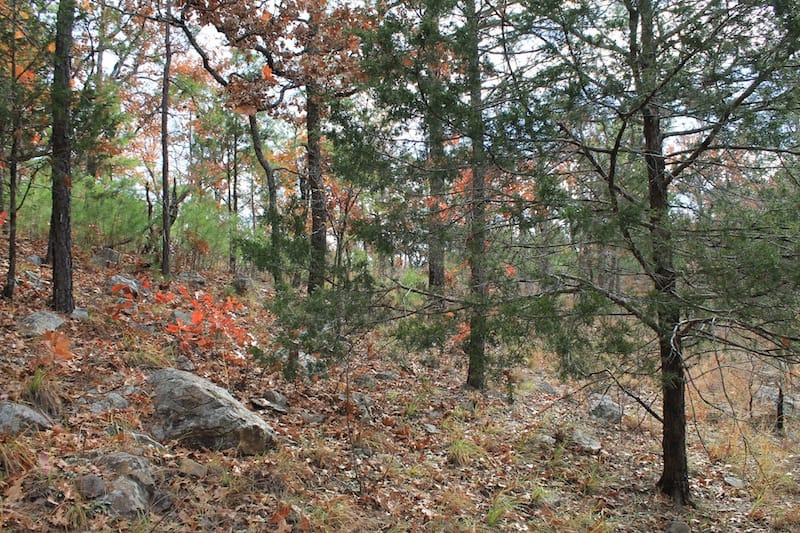 Indian Ridge – Phase I Tract 9 photo 5