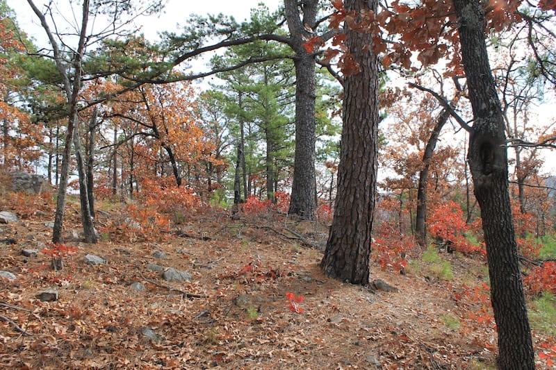 Indian Ridge – Phase I Tract 9 photo 6