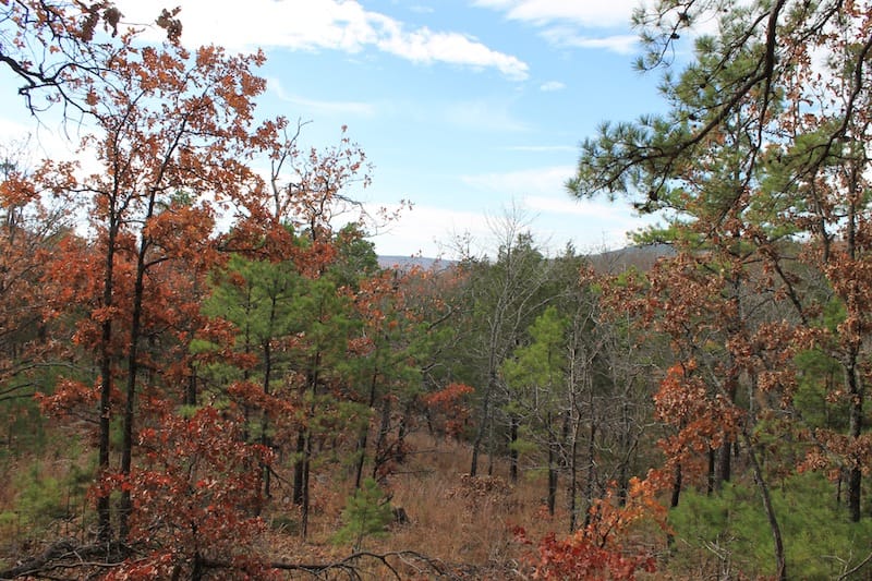 Indian Ridge – Phase I Tract 9 photo 9