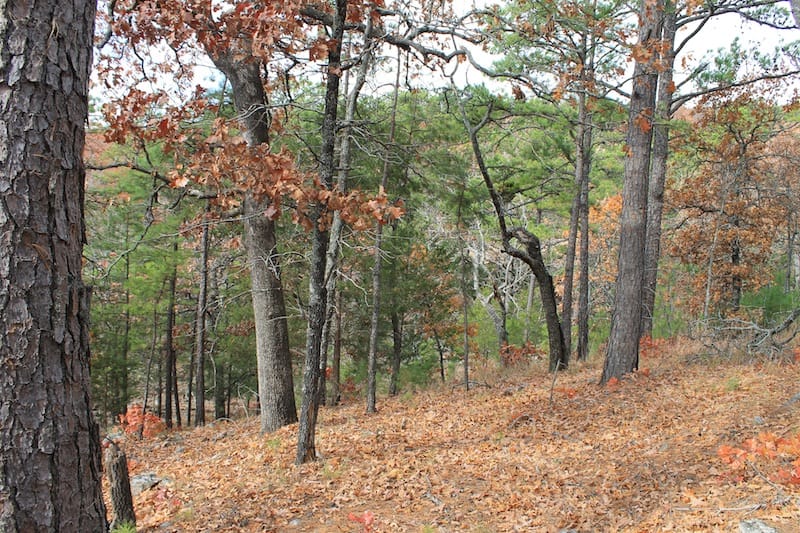 Indian Ridge – Phase I Tract 9 photo 10