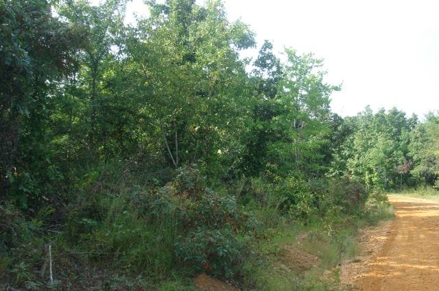 Sugartree Falls Tract 11 photo 1