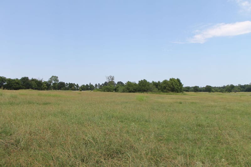 McCoy Creek Ranch Tract 6 photo 1