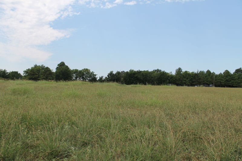McCoy Creek Ranch Tract 6 photo 2