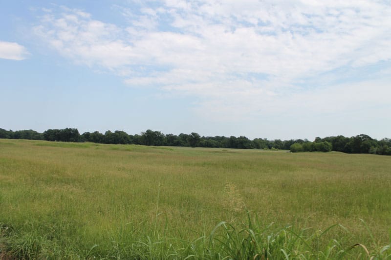 McCoy Creek Ranch Tract 6 photo 4
