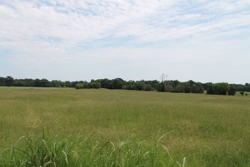 McCoy Creek Ranch Tract 6 photo 5