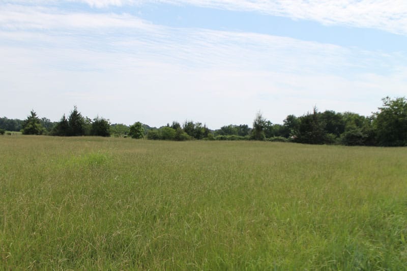 McCoy Creek Ranch Tract 6 photo 6