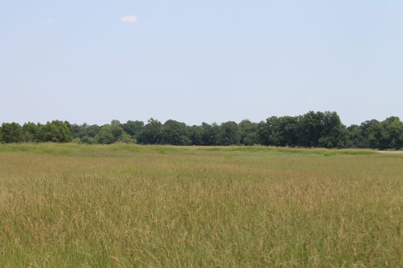 McCoy Creek Ranch Tract 6 photo 7