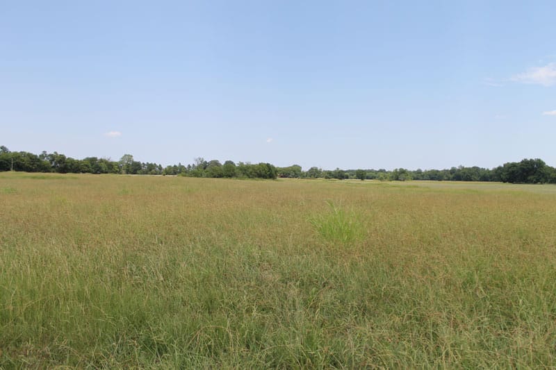 McCoy Creek Ranch Tract 6 photo 8