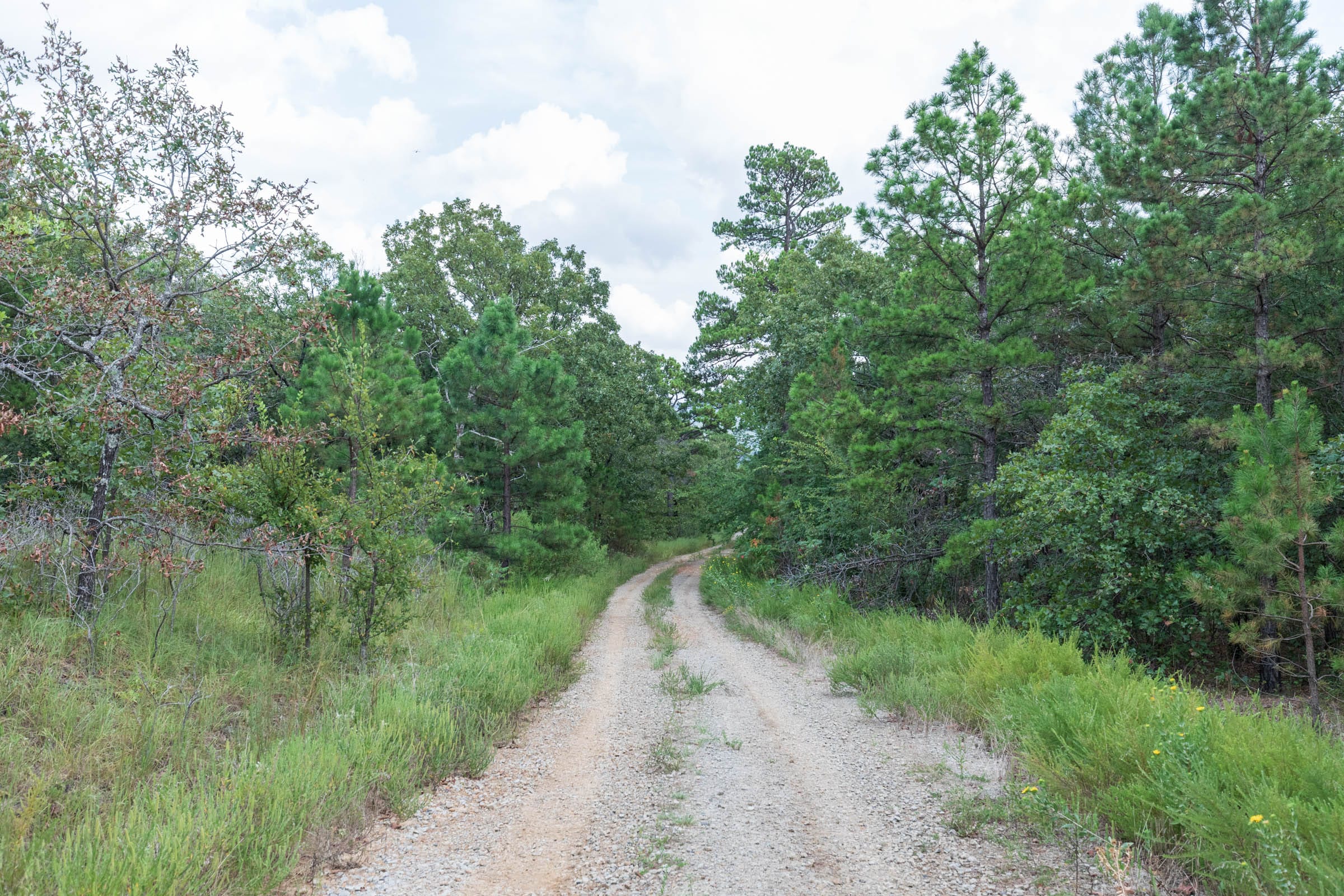 Stone Bridge Phase V Tract 342 photo 7