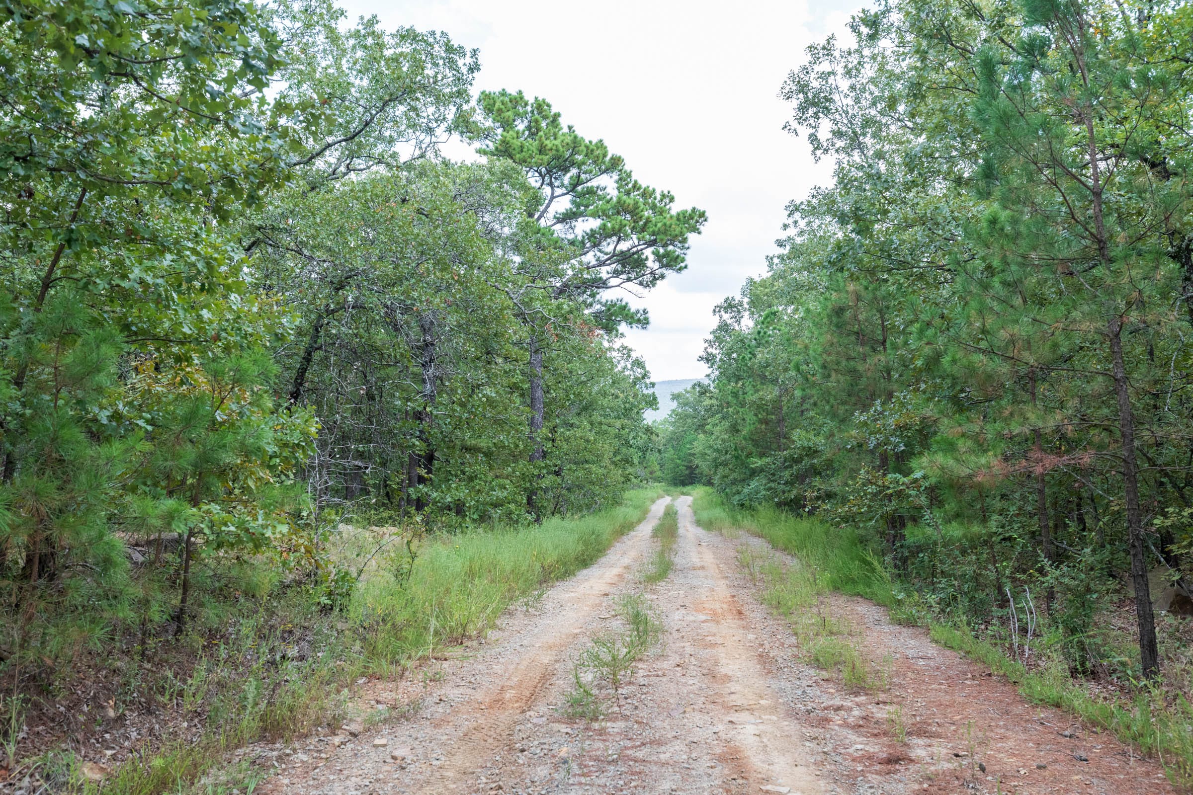 Stone Bridge Phase V Tract 342 photo 8