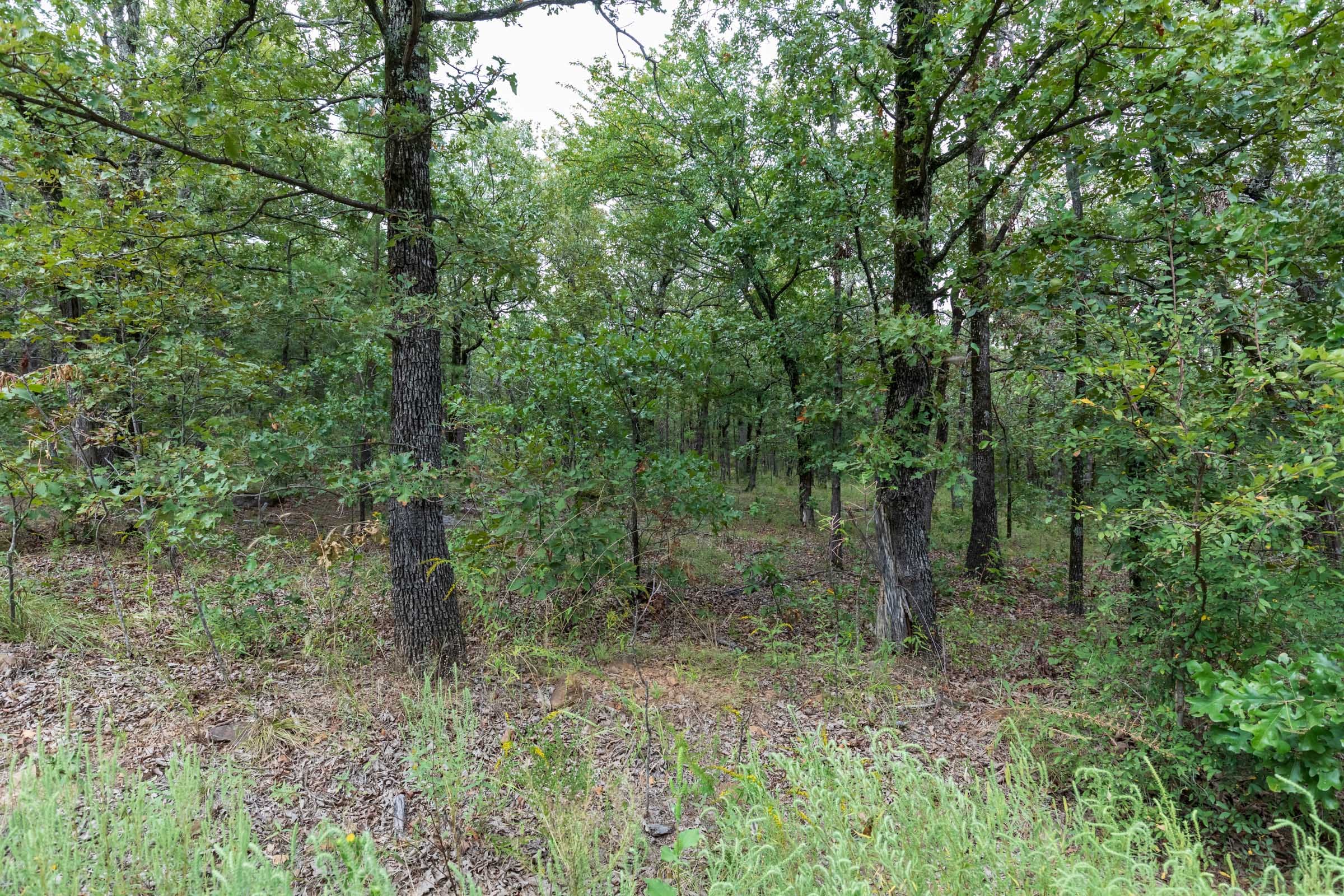 Stone Bridge Phase V Tract 342 photo 10