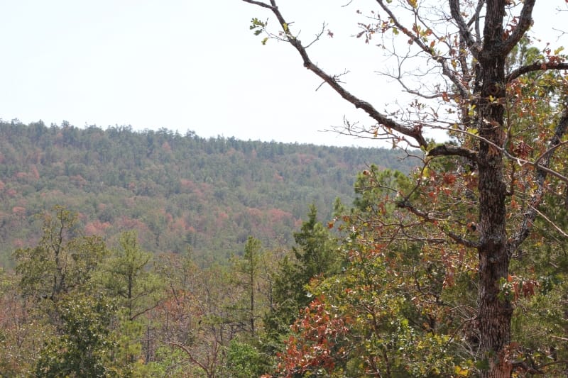 Lake View Ranch Tract 6 photo 1