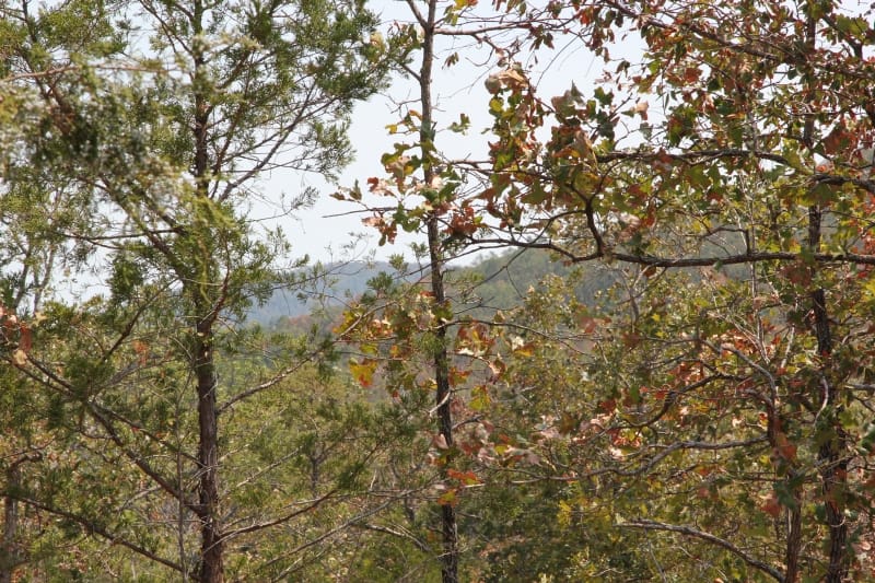 Lake View Ranch Tract 6 photo 3
