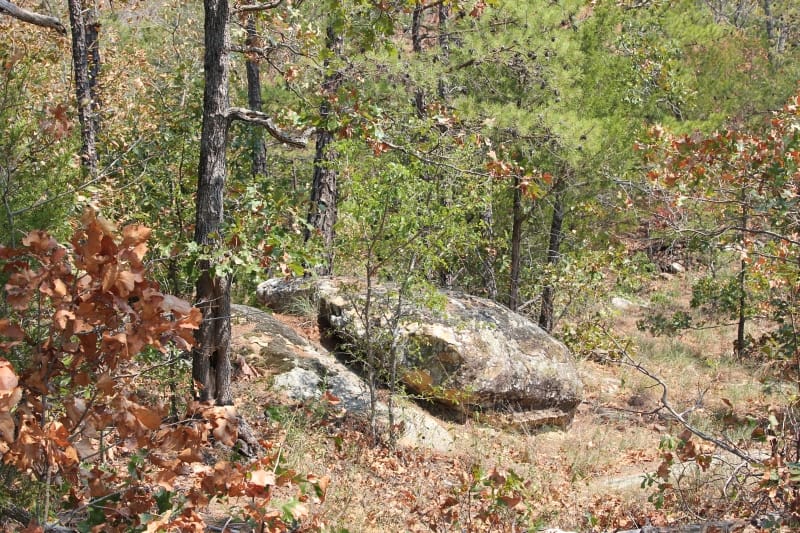 Lake View Ranch Tract 6 photo 4