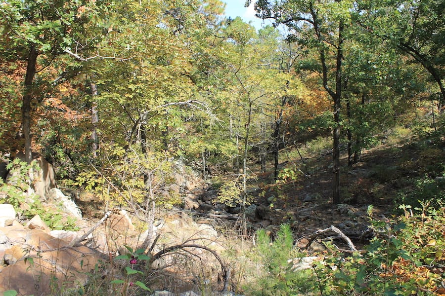 Indian Ridge – Phase III Tract 109 photo 3