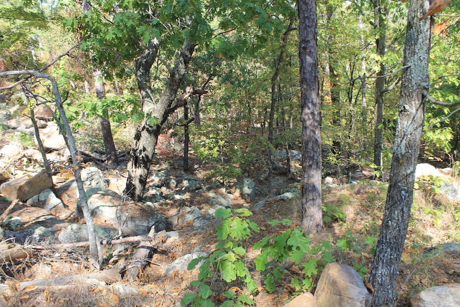 Indian Ridge – Phase III Tract 109 photo 4