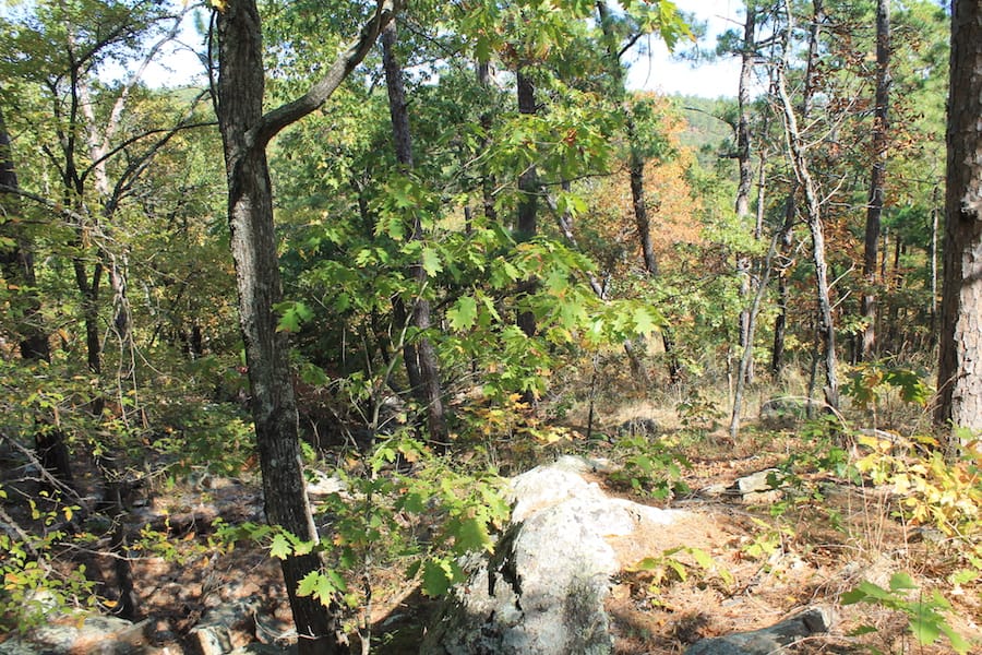 Indian Ridge – Phase III Tract 109 photo 5