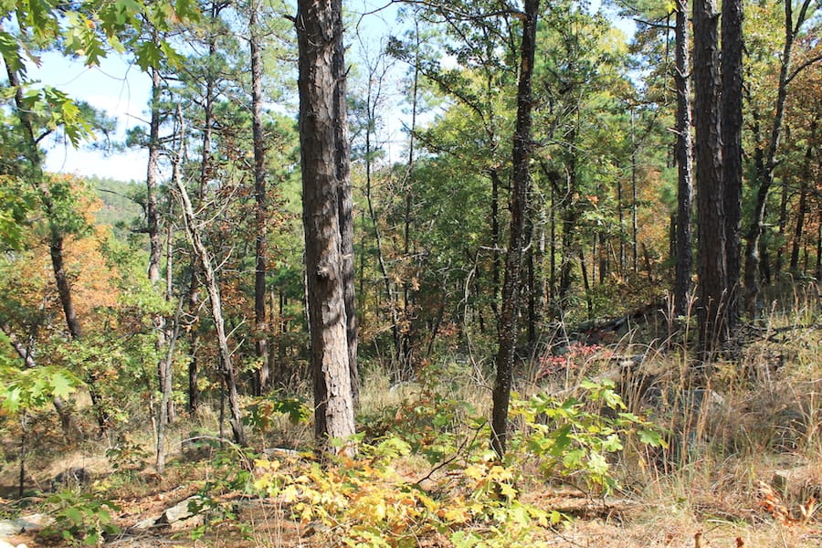 Indian Ridge – Phase III Tract 109 photo 6