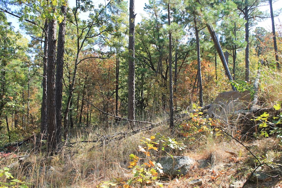 Indian Ridge – Phase III Tract 109 photo 7