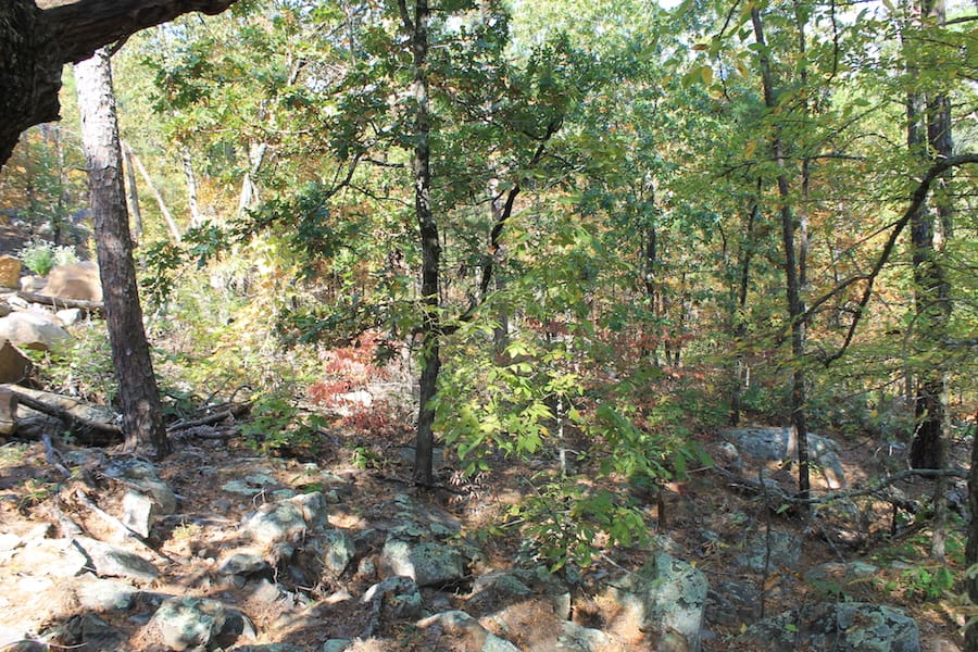 Indian Ridge – Phase III Tract 109 photo 8