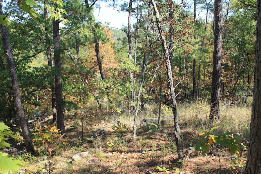 Indian Ridge – Phase III Tract 109 photo 9