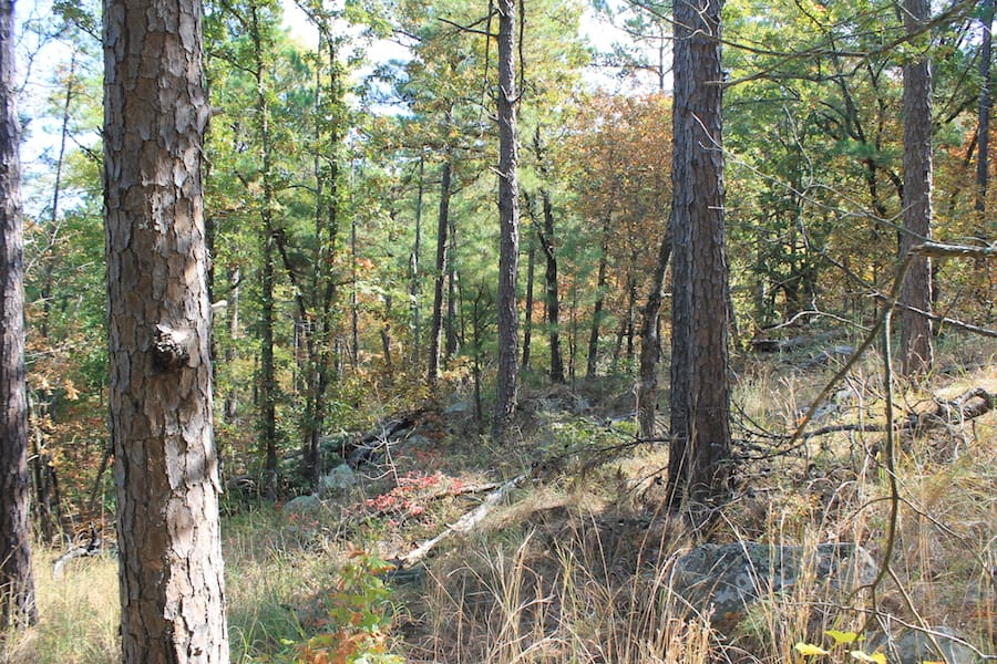 Indian Ridge – Phase III Tract 109 photo 10