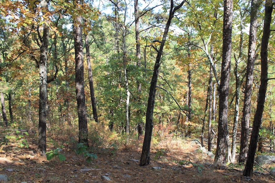 Indian Ridge – Phase III Tract 109 photo 13