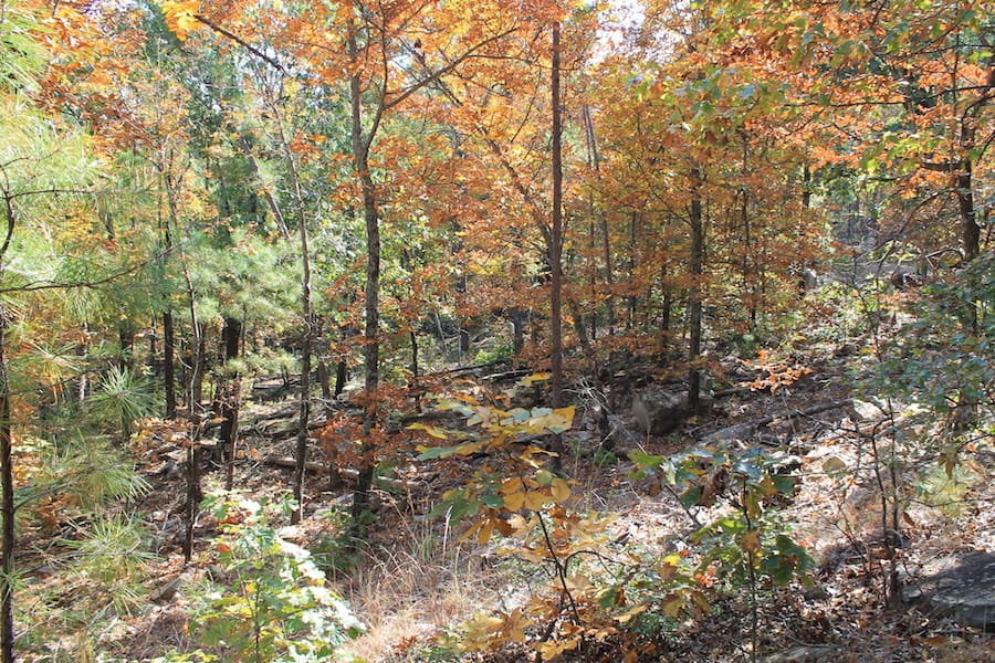 Indian Ridge – Phase III Tract 109 photo 15