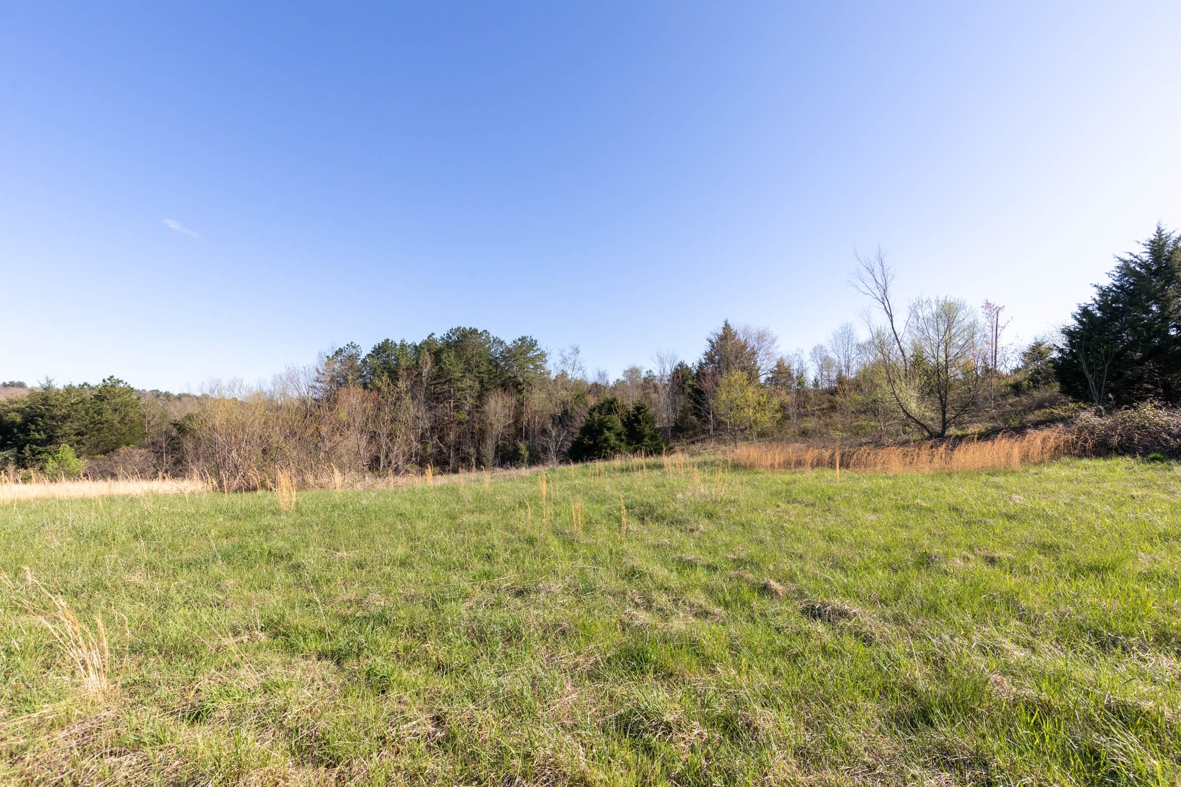 Woodland Heights Tract 1 photo 1