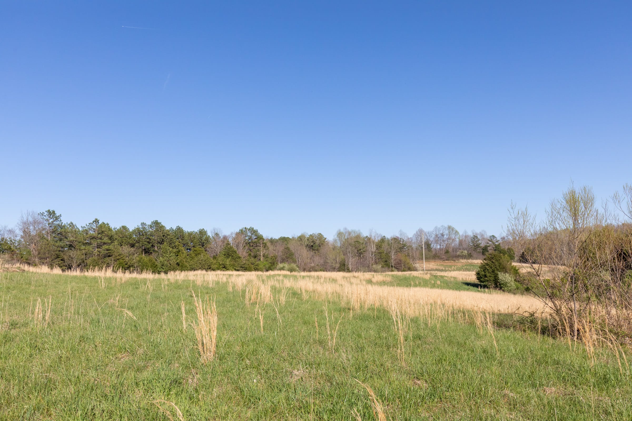 Woodland Heights Tract 1 photo 2