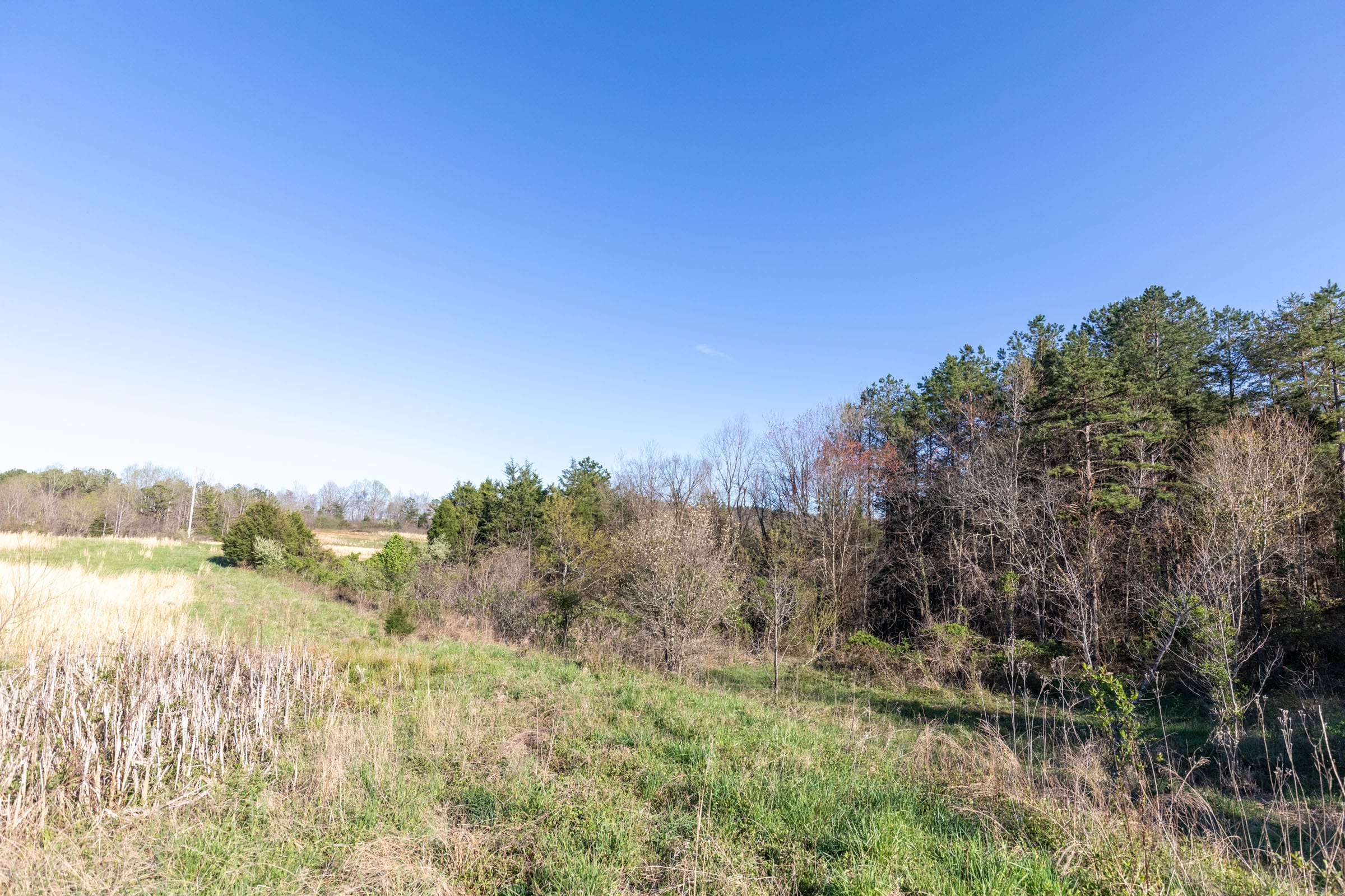 Woodland Heights Tract 1 photo 3