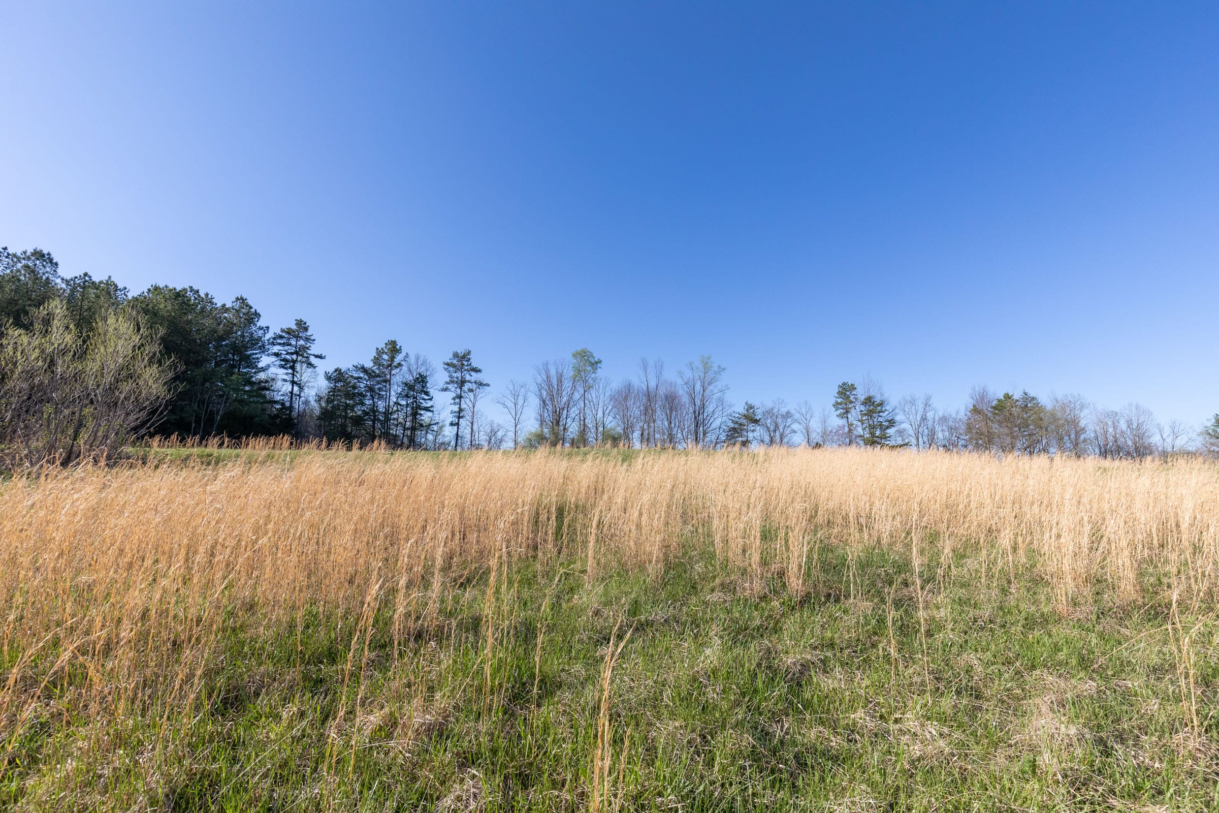 Woodland Heights Tract 1 photo 4