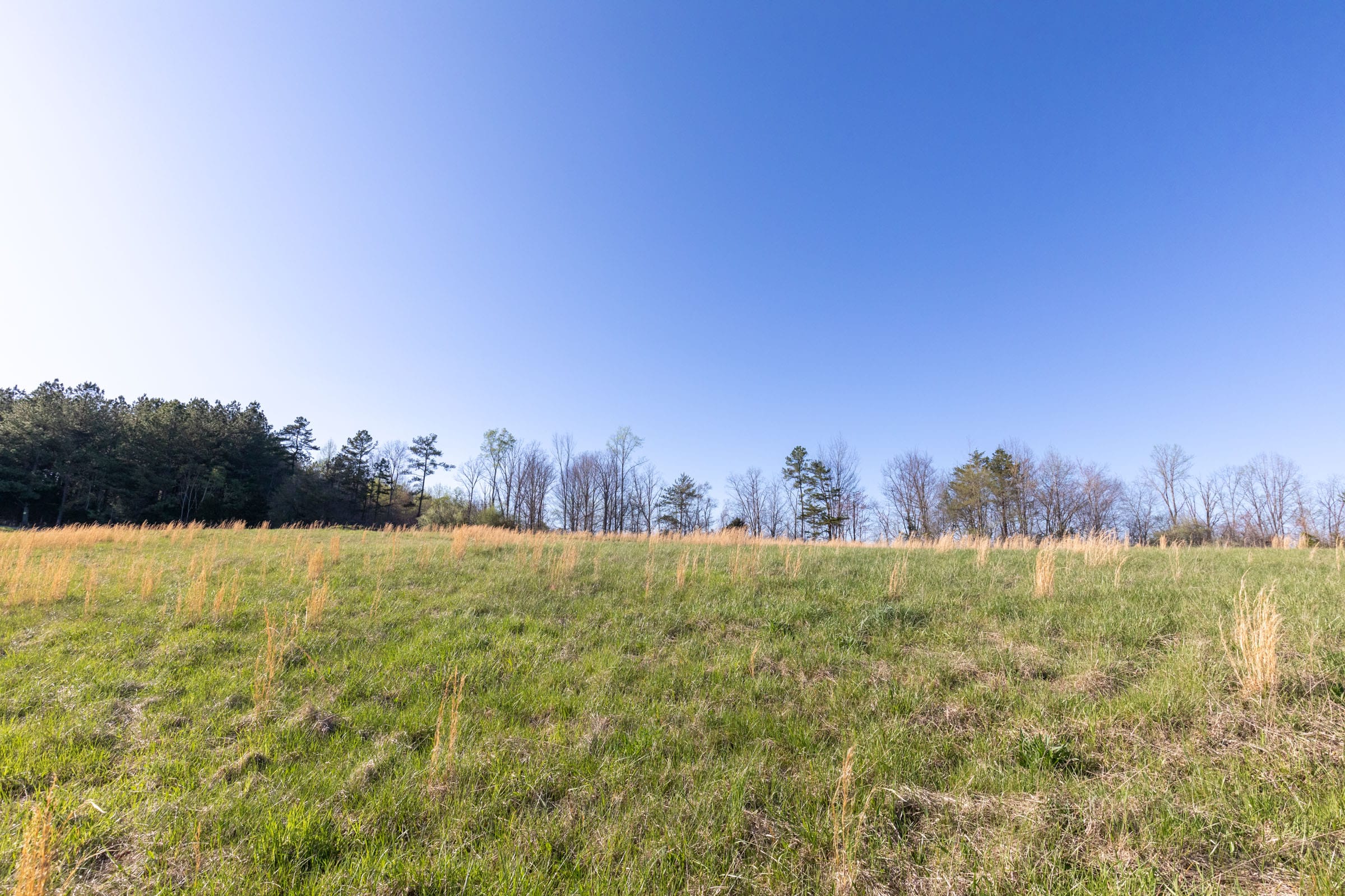 Woodland Heights Tract 1 photo 5