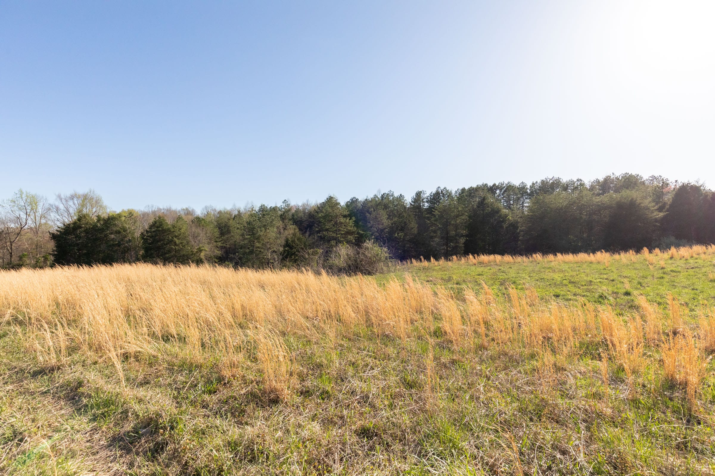 Woodland Heights Tract 1 photo 6