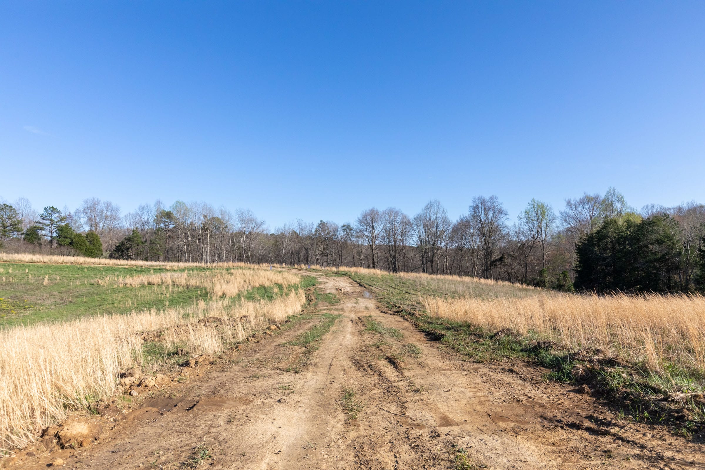 Woodland Heights Tract 1 photo 7