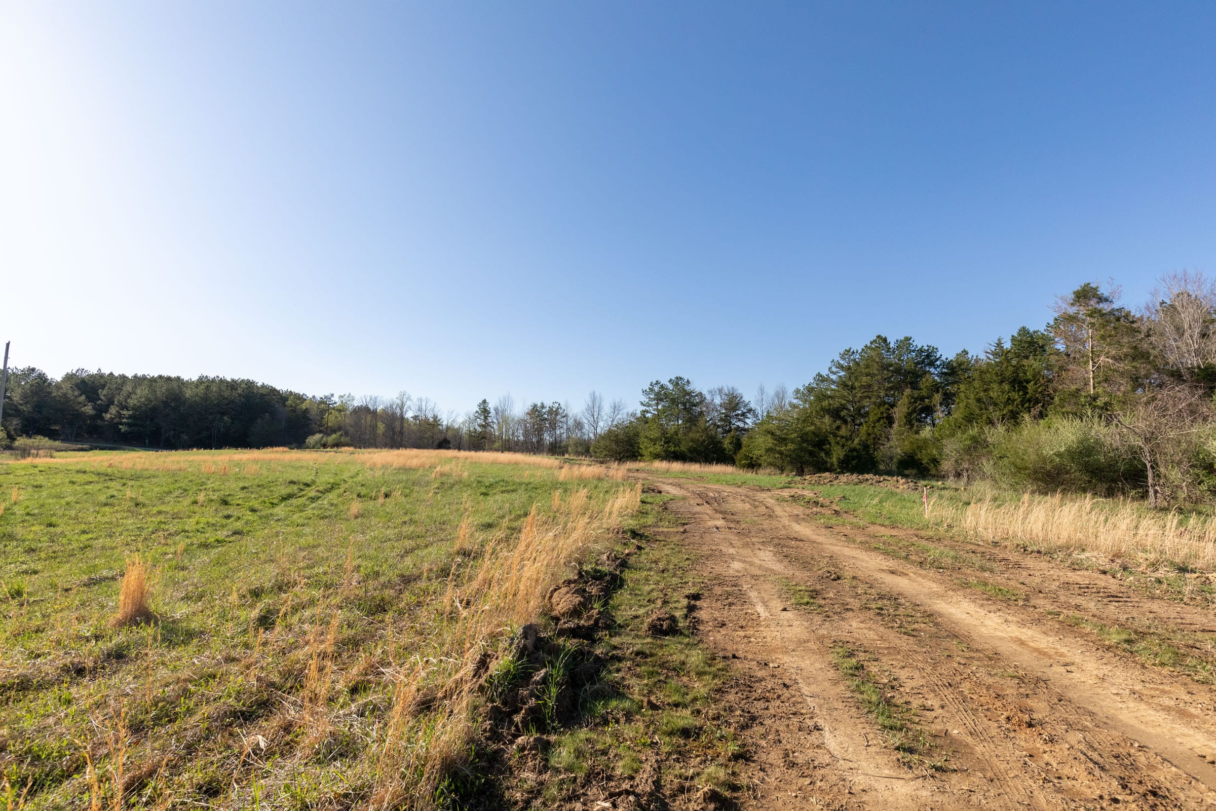 Woodland Heights Tract 1 photo 8