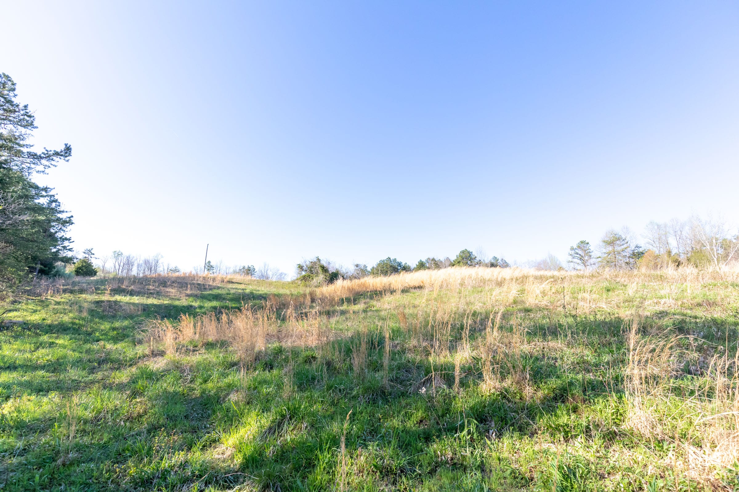 Woodland Heights Tract 1 photo 9