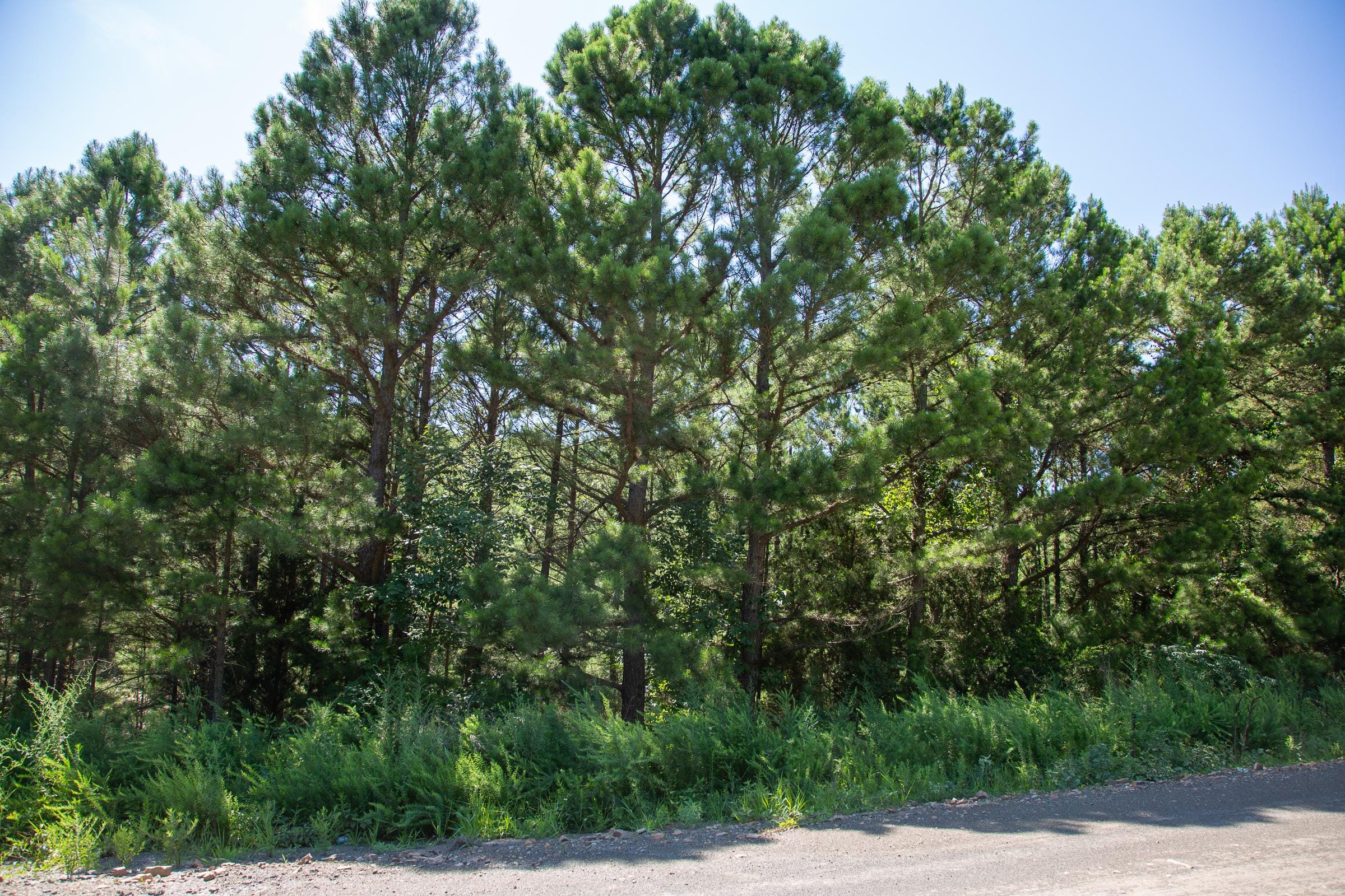 Tyler Stone Ranch Tract 1 photo 6