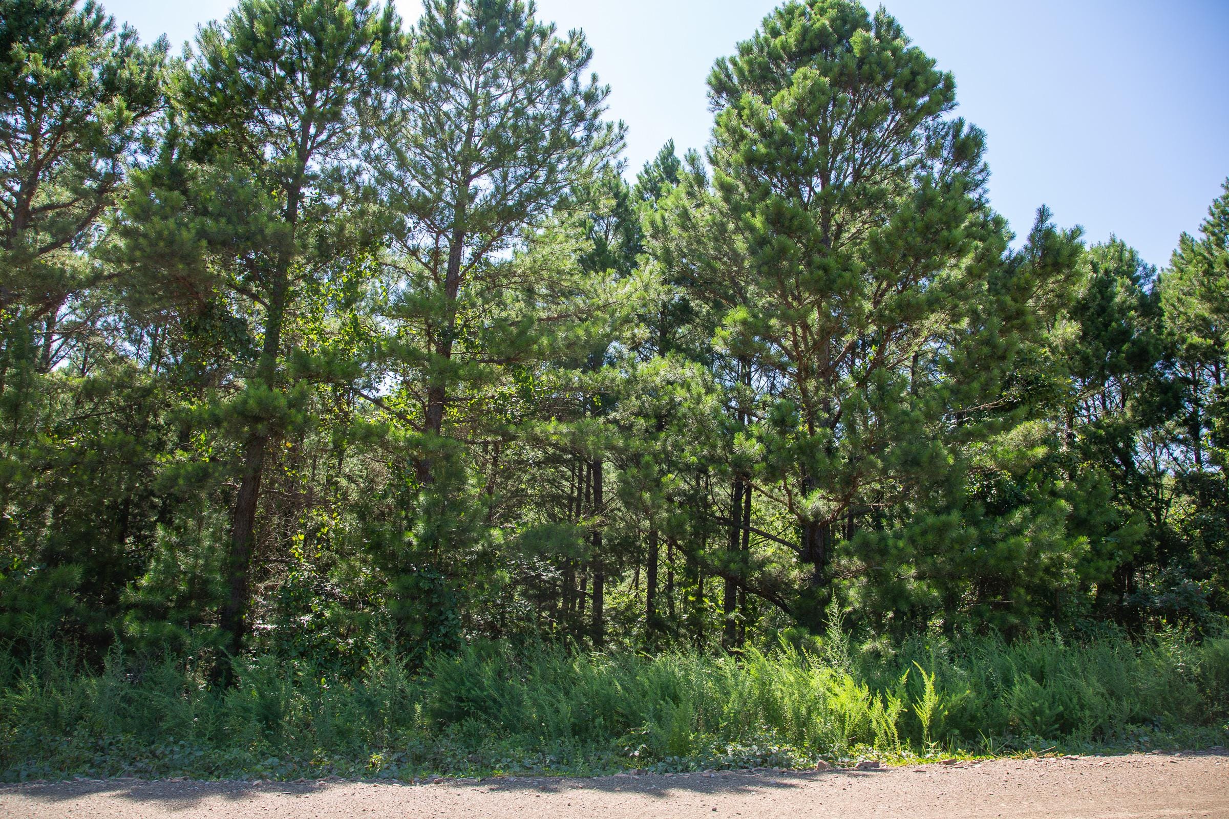 Tyler Stone Ranch Tract 1 photo 7