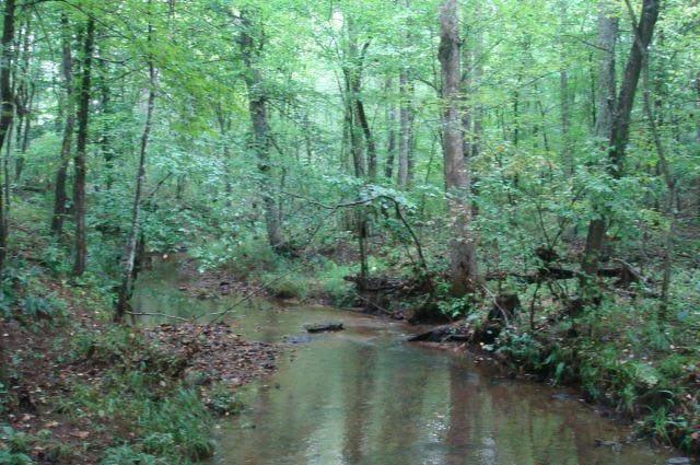 Sugartree Falls Tract 44 photo 4