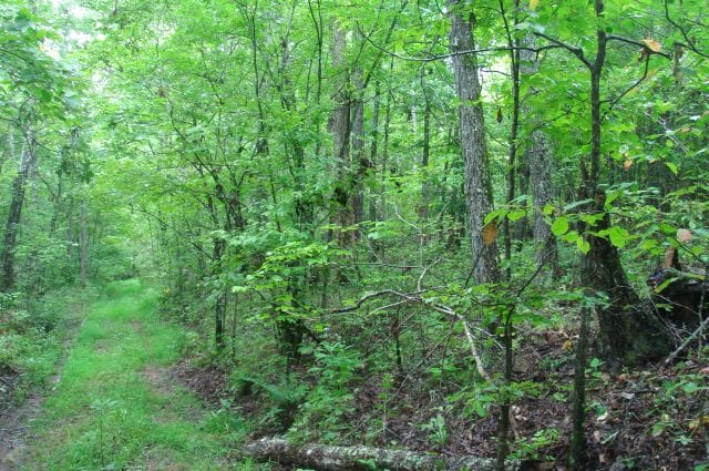 Sugartree Falls Tract 44 photo 5