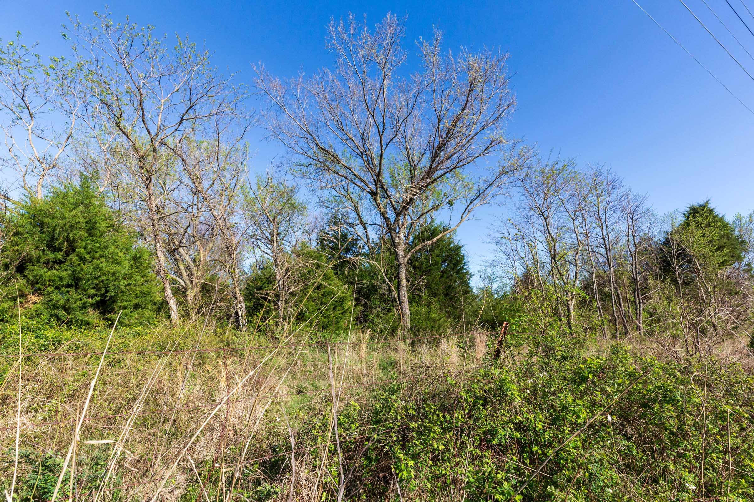Prairie Grove Tract 1 photo 2