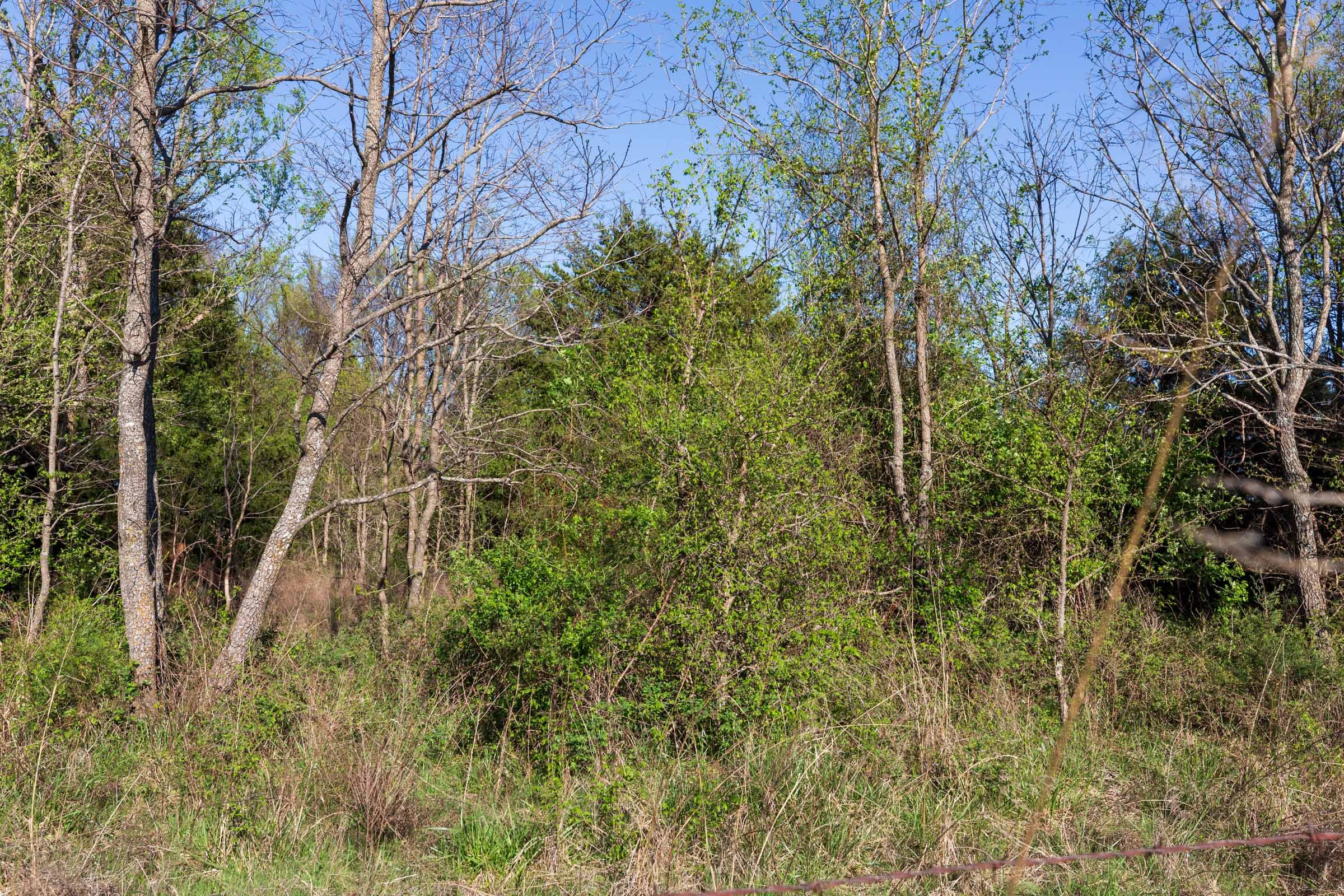 Prairie Grove Tract 1 photo 13
